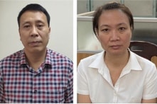 Bộ Công an yêu cầu định giá cây xanh ở Hà Nội