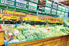 TP.HCM: 40% doanh nghiệp chỉ còn tiền để hoạt động dưới 1 tháng