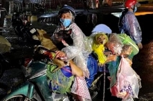 Cà Mau tiêu hủy đàn chó mèo 16 con của gia đình chạy xe máy từ Long An về