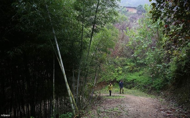 hai vo chong song an dat tren nui