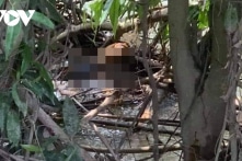 Bé trai 2 tuổi mất tích ở Bình Dương: Tìm thấy thi thể dưới suối, cách nhà 600m