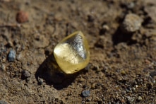 Người phụ nữ nhặt được viên kim cương 4,38 carat ở công viên