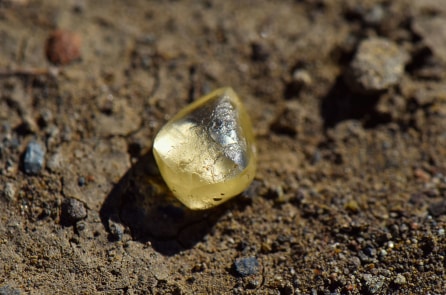 Người phụ nữ nhặt được viên kim cương 4,38 carat ở công viên