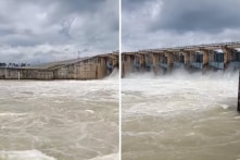 Đồng Nai: Hơn 750 tấn cá bè chết vì nước xiết; thủy điện Trị An tăng xả lũ gấp 6 lần trong 24h