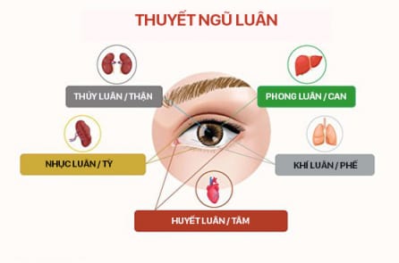 Nhìn mắt đoán sức khỏe ngũ tạng, 2 cách đẩy lùi lão hóa mắt