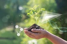 Liệu thực vật có ý thức hay không?