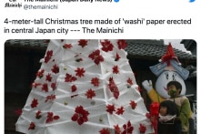 Cây thông Noel bằng giấy washi cao 4m thu hút du khách tại Nhật Bản