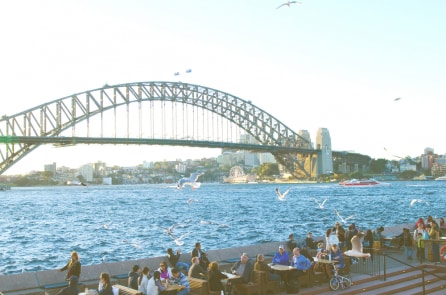 Nhà hát Opera Sydney chi tiền tỷ thuê chó đuổi chim mòng biển