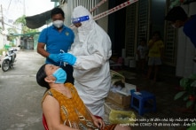 Ngày 1/12 có 14.508 ca COVID-19; 196 ca tử vong