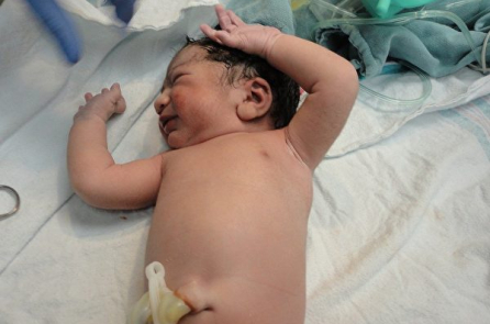 Bé gái sơ sinh bị bỏ rơi trên cánh đồng được một đàn chó bảo vệ
