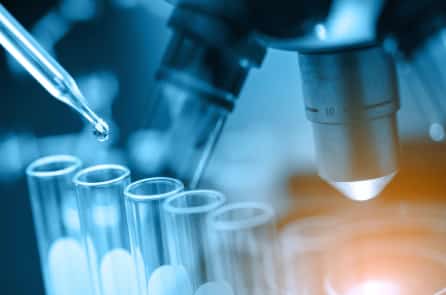 Phát hiện trong cơ thể dơi tại Vân Nam có virus có khả năng gây chết người