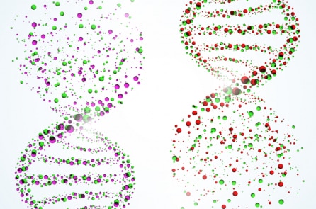 Hiệu ứng “bóng ma DNA” – chứng minh tồn tại cơ thể người ở không gian khác?