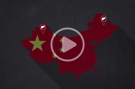 Một cuộc diệt chủng “lạnh” đang diễn ra tại Trung Quốc