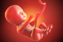 Tòa án Tối cao Arizona bảo vệ luật cấm phá thai trong hầu hết trường hợp