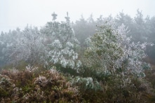 Ngày cuối năm, đêm giao thừa Tết Nguyên đán Nhâm Dần 2022, thời tiết ra sao?