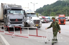 Lạng Sơn: TQ sẽ không dừng thông quan xe hàng container lạnh trước và sau Tết Nguyên Đán