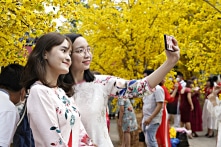 Du xuân 2022: Sài Gòn rực rỡ sắc vàng