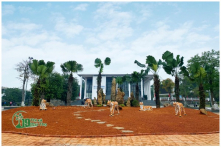 Phú Thọ chỉnh sửa 5 tượng hổ ‘dị dạng, gầy nhom, giống chó’ ở quảng trường thị xã