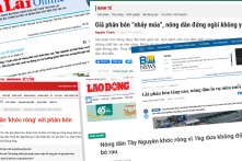 Năm “Sửu” 2021: Doanh nghiệp phân bón lãi lớn khi giá phân bón tăng gấp 2-3 lần