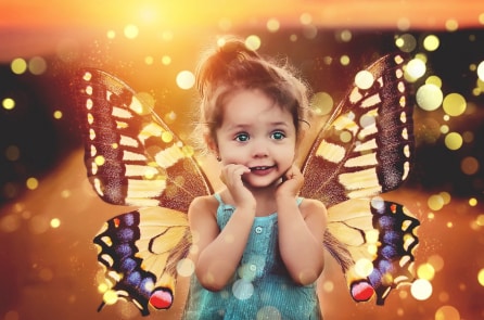 Những điều kỳ thú có thể bạn chưa biết về đom đóm