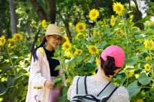 Ươm nắng sắc hoa xuân trên đất Sài thành