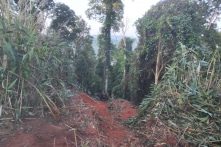 Gia Lai: Xe tải chở sắn lao xuống vực sâu, 9 người thương vong