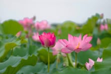 Vị khách tàn tật quên trả tiền và ông chủ tốt bụng