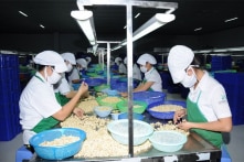 Vụ doanh nghiệp xuất khẩu điều nghi bị lừa: Mong muốn Interpol Việt Nam hỗ trợ