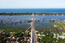 Quảng Nam muốn giảm hơn 1.600 ha rừng phòng hộ ven biển để lấy đất xây dựng