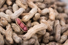 Aflatoxin ẩn trong đậu phộng và đũa gây ung thư gan, 3 bước phòng ngừa