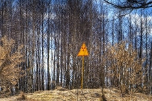 Reuters: Quân Nga không phòng hộ đi qua Rừng Đỏ gần nhà máy điện hạt nhân Chernobyl