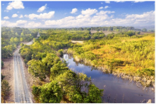 Bình Thuận: Tự ý chuyển mục đích sử dụng đất, một công ty bị phạt hơn nửa tỷ đồng