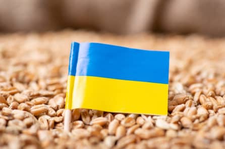 TT Zelensky cảnh báo về cuộc khủng hoảng lương thực thế giới trong 10 tuần tới
