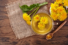 Chuyên gia bật mí 5 lợi ích sức khỏe của trà bồ công anh
