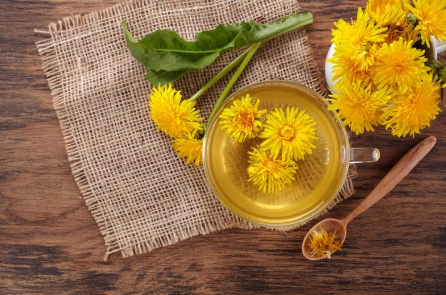 Chuyên gia bật mí 5 lợi ích sức khỏe của trà bồ công anh