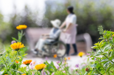 Truyện ngắn: Những mảnh vỡ của tấm gương