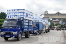 Thanh Hóa: Ngừng hoạt động nhà máy ôtô hơn 1.300 tỷ của Vinaxuki