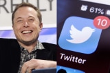 Twitter Elon Musk 3