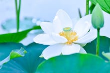 Những câu chuyện âm thầm làm việc tốt đầy xúc động (2)