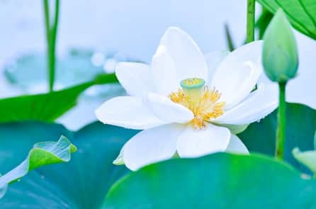 Những câu chuyện âm thầm làm việc tốt đầy xúc động (2)