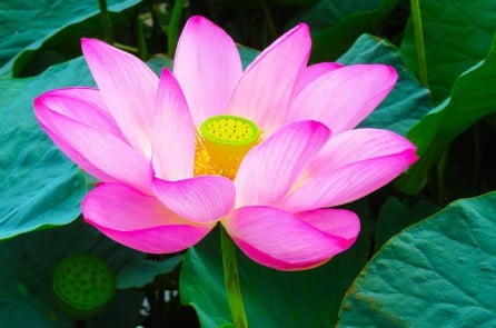 Những câu chuyện âm thầm làm việc tốt đầy xúc động (3)