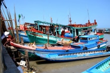 Cà Mau thông báo có 1.022 tàu cá thuộc diện ‘mất tích’ trong 2 năm qua