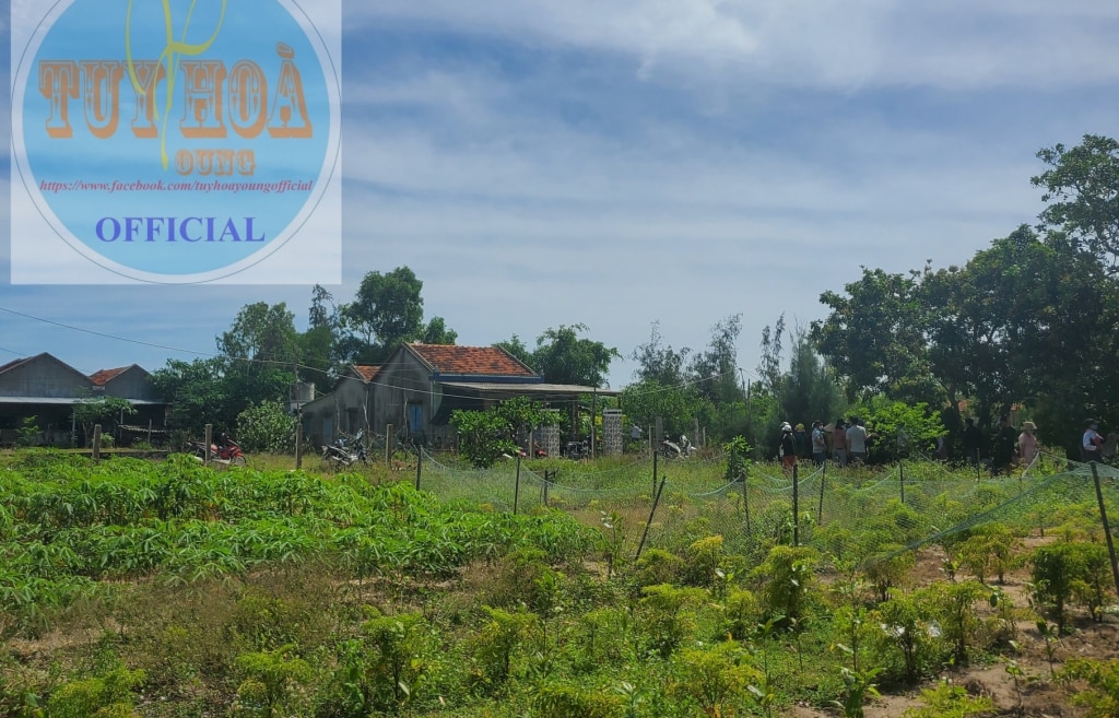 3 nguoi trong gia dinh bi sat hai tai phu yen 2