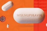 molnupiravir