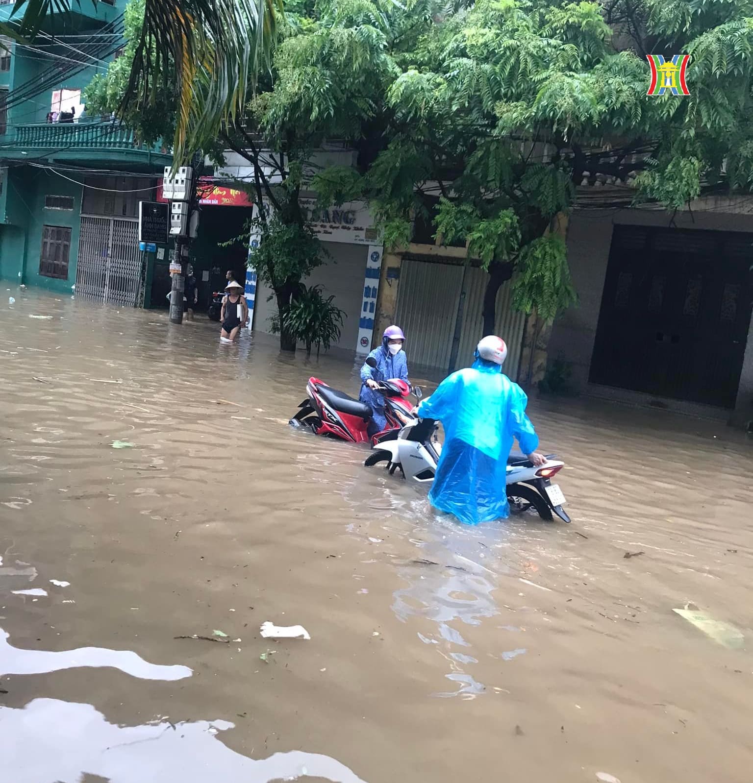 mua lon ha noi 3