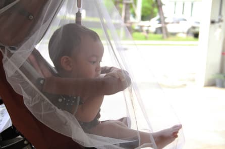 8.481 ca sốt xuất huyết đã xuất hiện tại TP.HCM, dự báo chưa tới đỉnh dịch