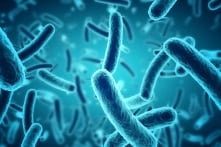 Hệ vi sinh vật đường ruột có thể ảnh hưởng đến ung thư do estrogen