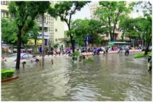 Miền Bắc, miền Trung sắp đón mưa dông dài ngày