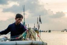 Hàng ngàn tàu cá nằm bờ do chi phí nhiên liệu bị ‘đội’ lên 3.776 tỷ đồng/tháng