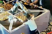 Bé trai 7 tuổi “chơi cờ quá nhanh”, bị robot AI đè gãy ngón tay